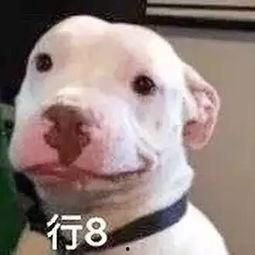 娱乐圈吃瓜公众号微信,吃瓜群众必看幕后真相！